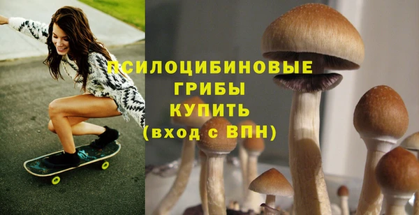 трава Верхний Тагил