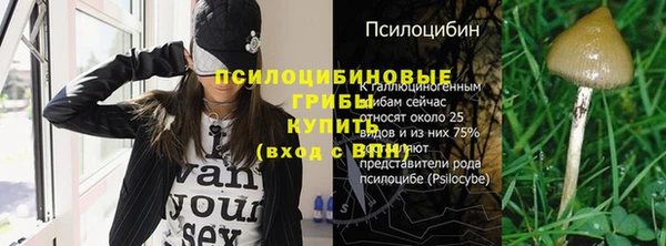 дурь Верея