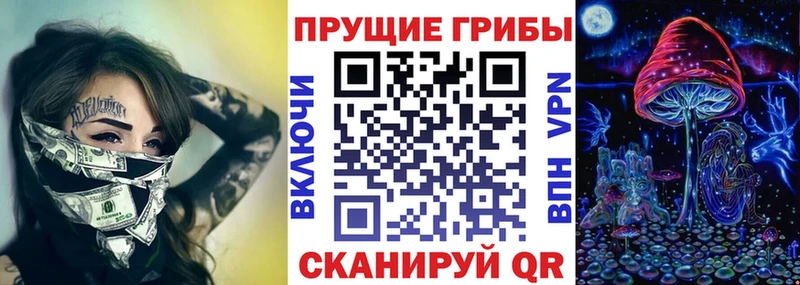 Галлюциногенные грибы GOLDEN TEACHER  наркотики  Вилючинск 